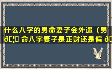 什么八字的男命妻子会外遇（男 🦟 命八字妻子是正财还是偏 🦢 财）